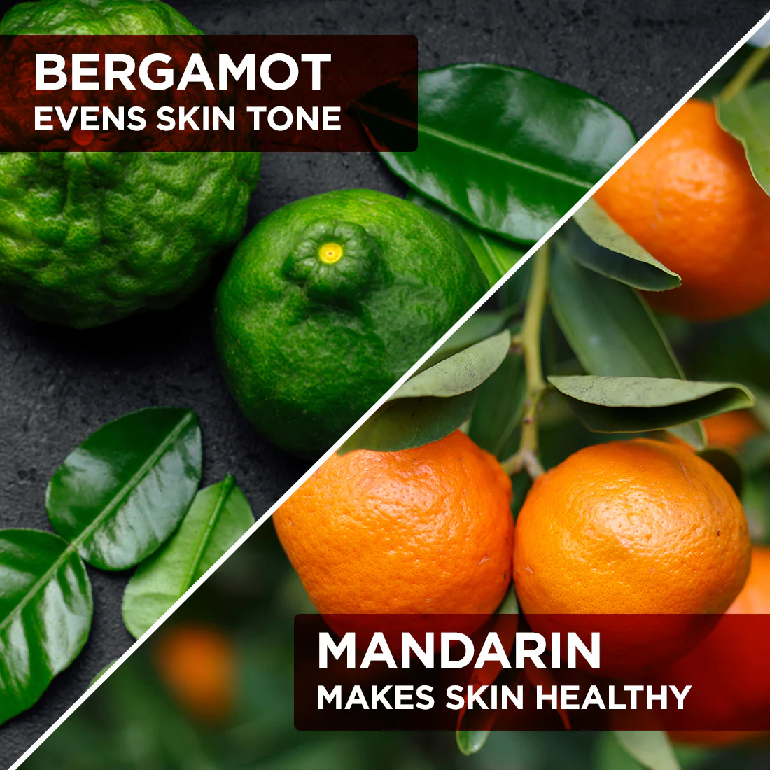 Complete Body Care - Image 5