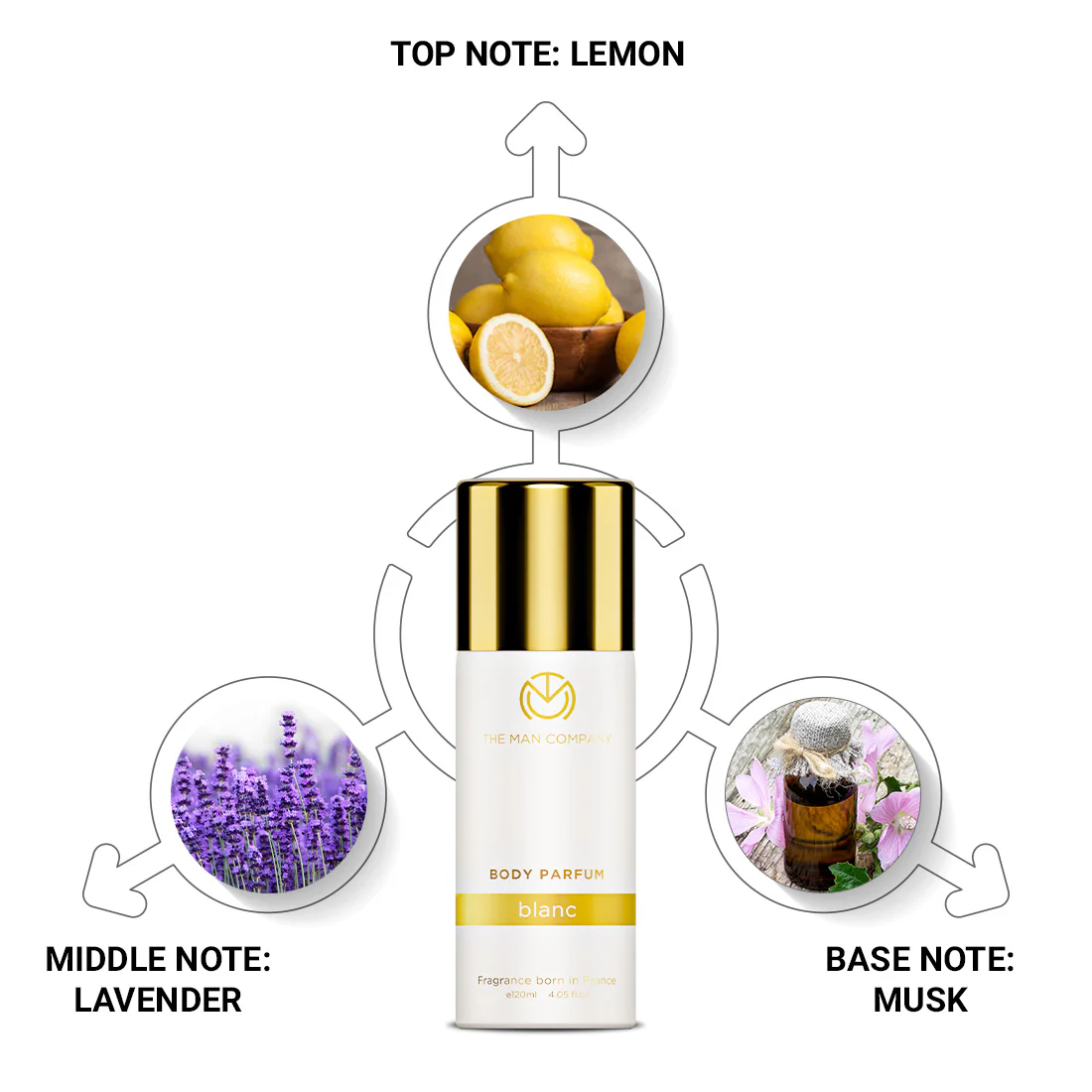 Body Perfume Blanc - Bulk Buy - Image 2