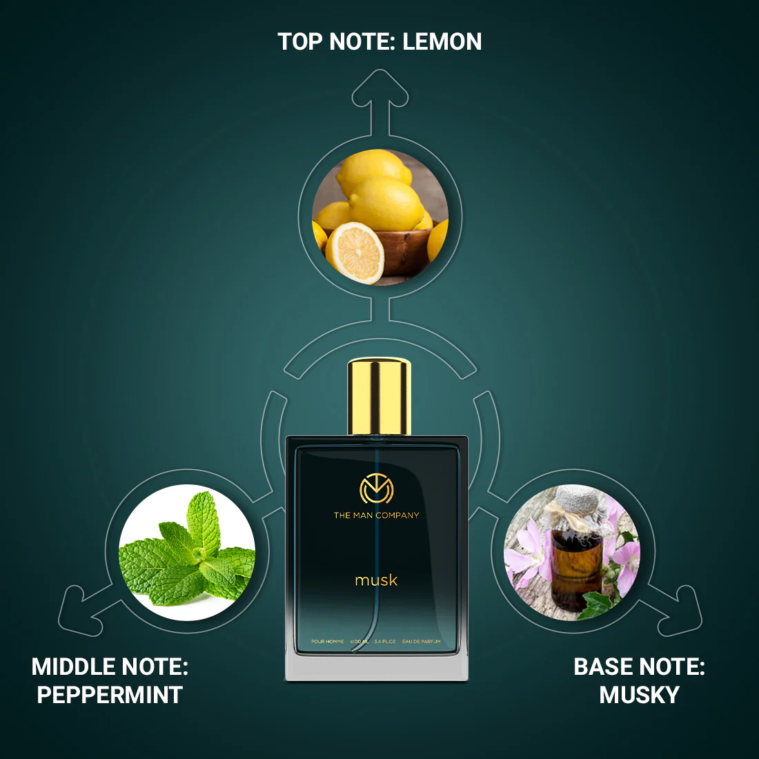 Eau De Parfum | Musk (100ml) - Image 2