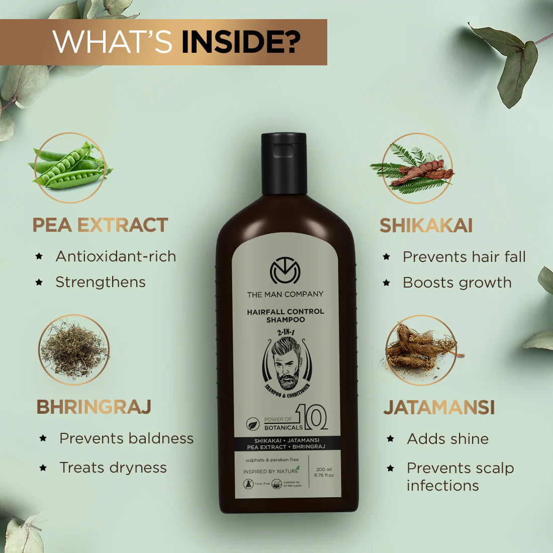 Hairfall Control 2-in-1 Shampoo & Conditioner | Power Of 10 Botanicals - Image 2