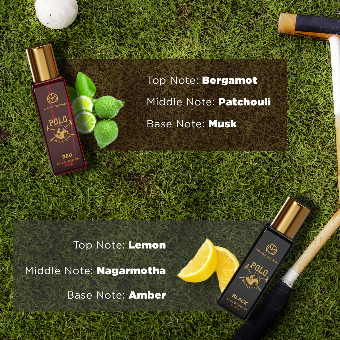 Polo Woods Collection - Image 5