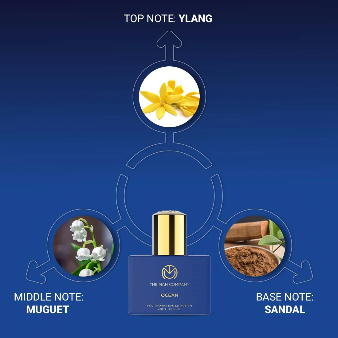 Refreshing & Warm Fragrance Combo - Image 4